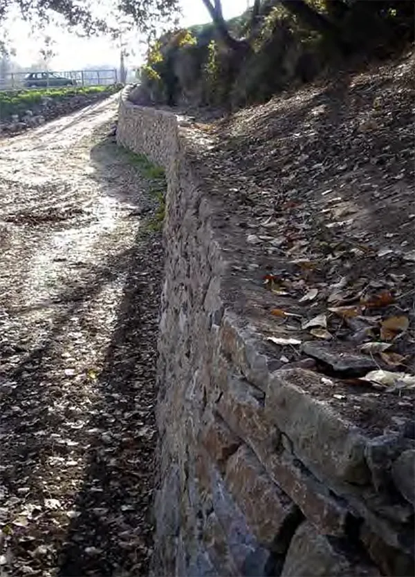 filosofia neus clotet